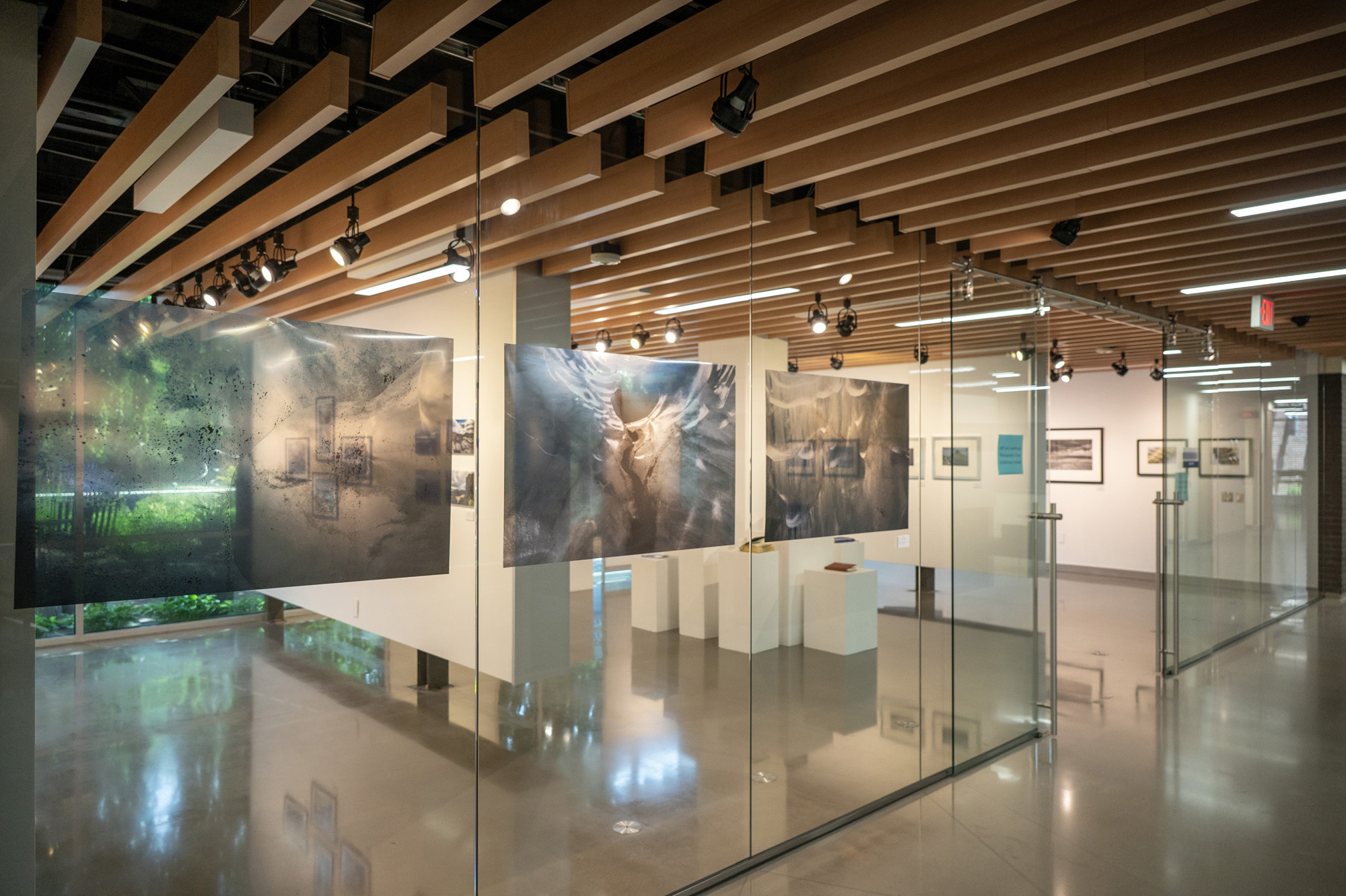 Photographs on display in a gallery.